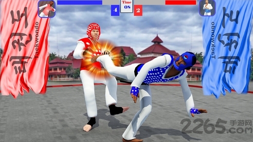 跆拳道战斗游戏 跆拳道战斗游戏下载